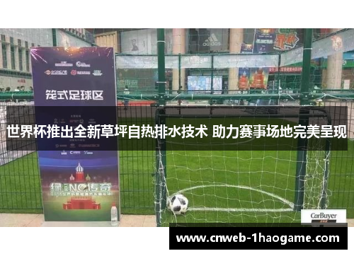世界杯推出全新草坪自热排水技术 助力赛事场地完美呈现